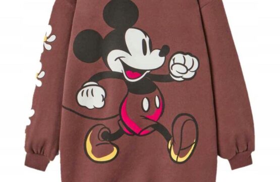 Pull disney pour fille - age 10ans