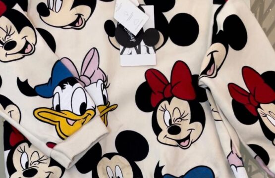 Pull Disney Zara pour fille 3 à 4ans