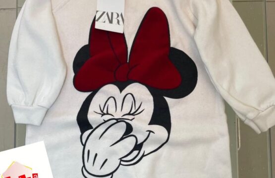 Robe ZARA Disney 3-4ans