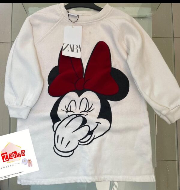 Robe ZARA Disney 3-4ans