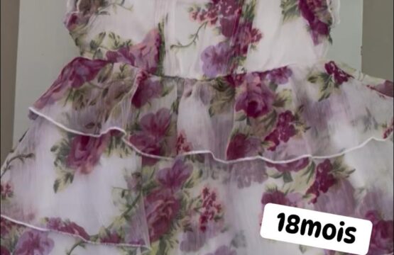 Robe princesse en brodé 18 mois